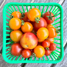 Load image into Gallery viewer, Mixed Cherry Tomatoes
