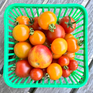 Mixed Cherry Tomatoes