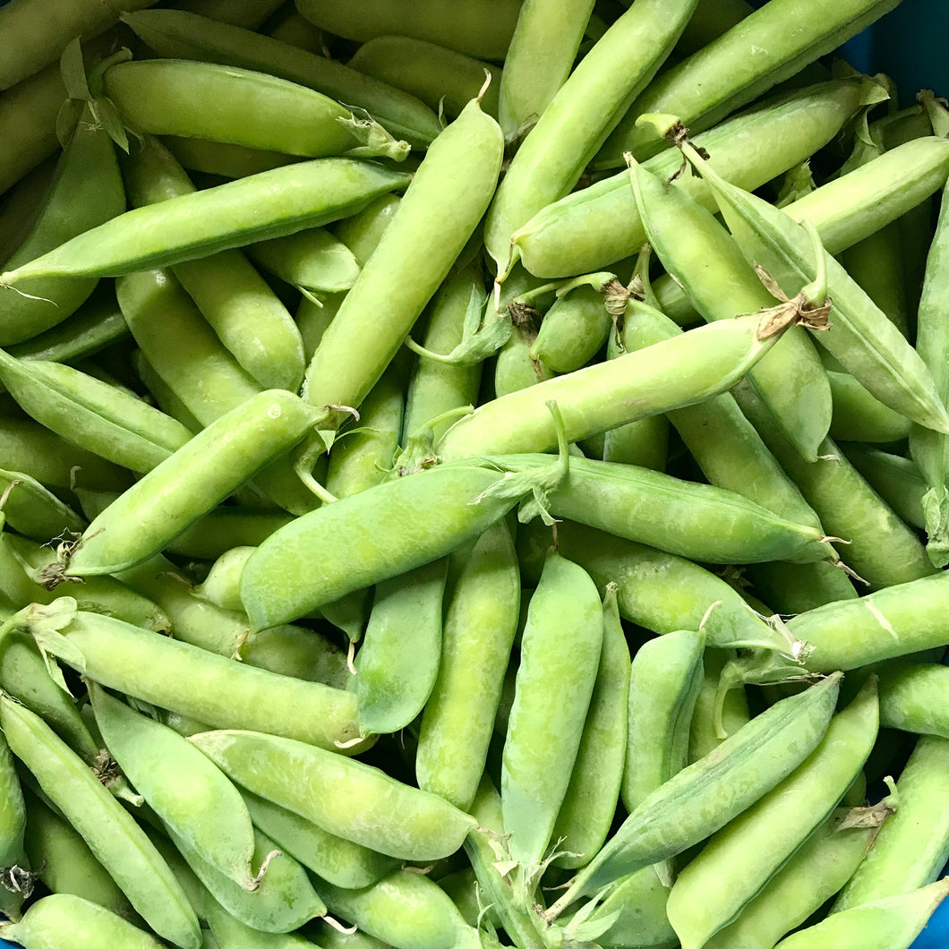 Garden Peas